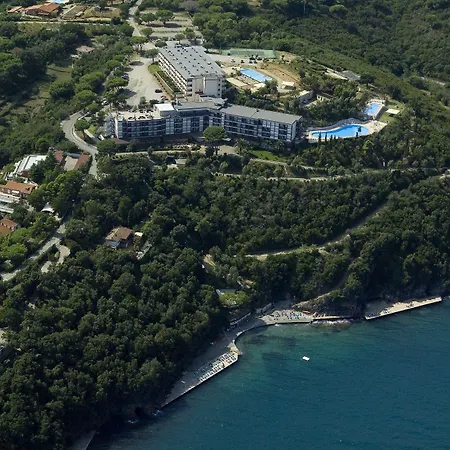 Jr Elba International