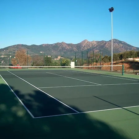 酒店 Jr Elba International