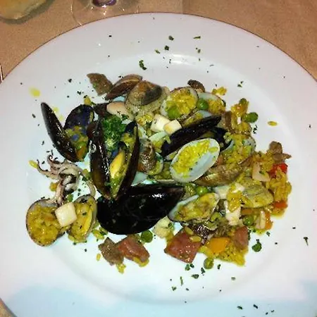 Jr Elba International 酒店 卡波利韦里