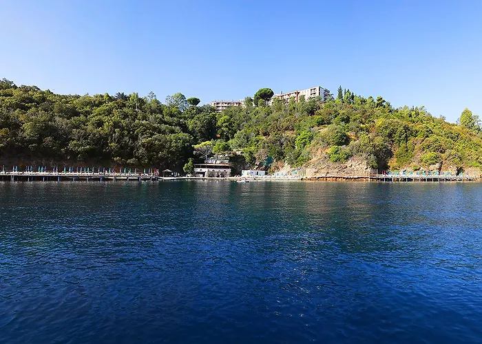 Jr Elba International