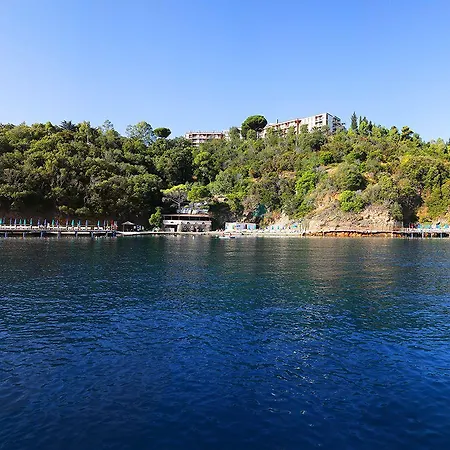 Jr Elba International