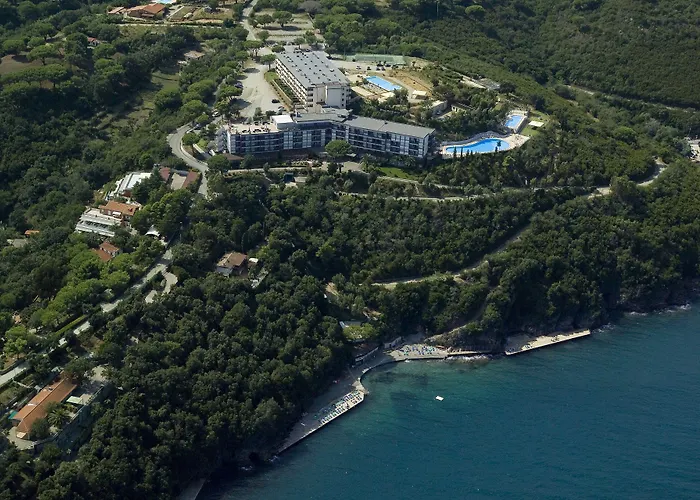 Jr Elba International