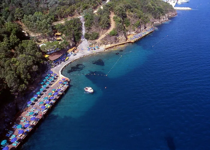 Otel Jr Elba International Capoliveri (Isola d'Elba)